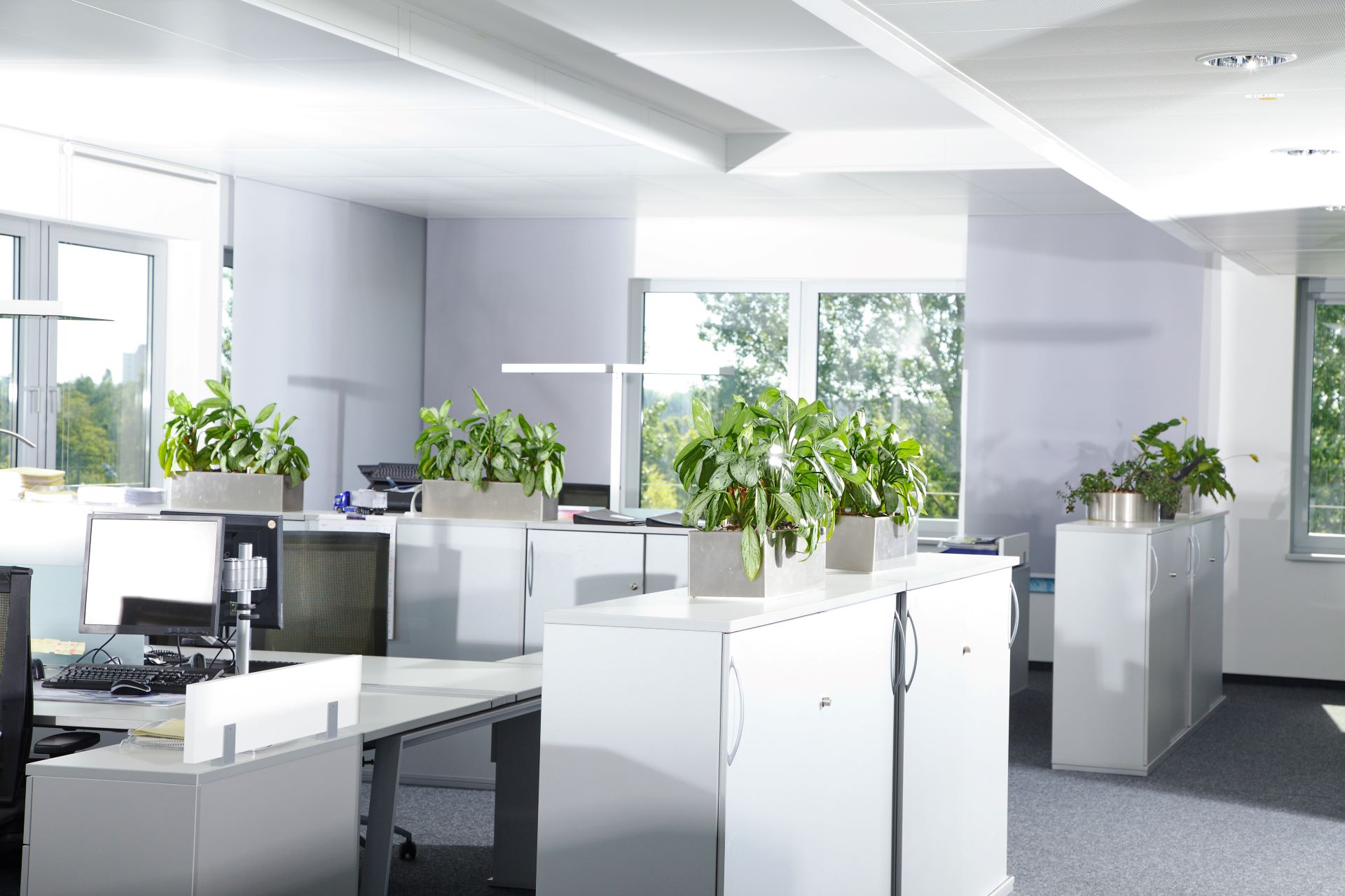 Resume Writing Services Croydon NSW